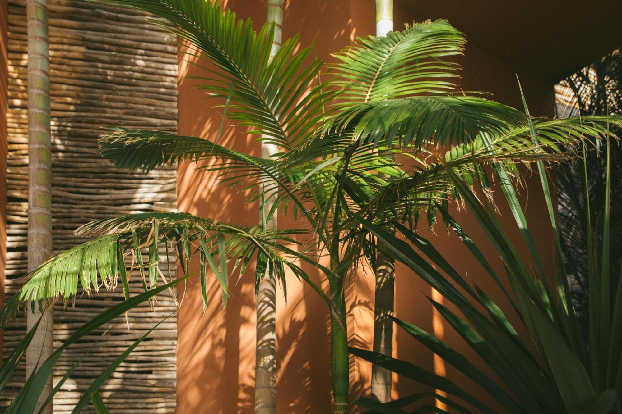 Salobre Hotel Resort & Serenity Maspalomas  Exterior photo